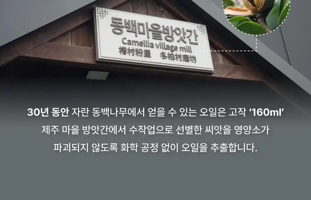 [끈적임제로/열보호] 애쉬로렌 제주 동백오일 헤어에센스 80ml 상세페이지 10